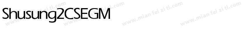 Shusung2CSEG Medium字体转换